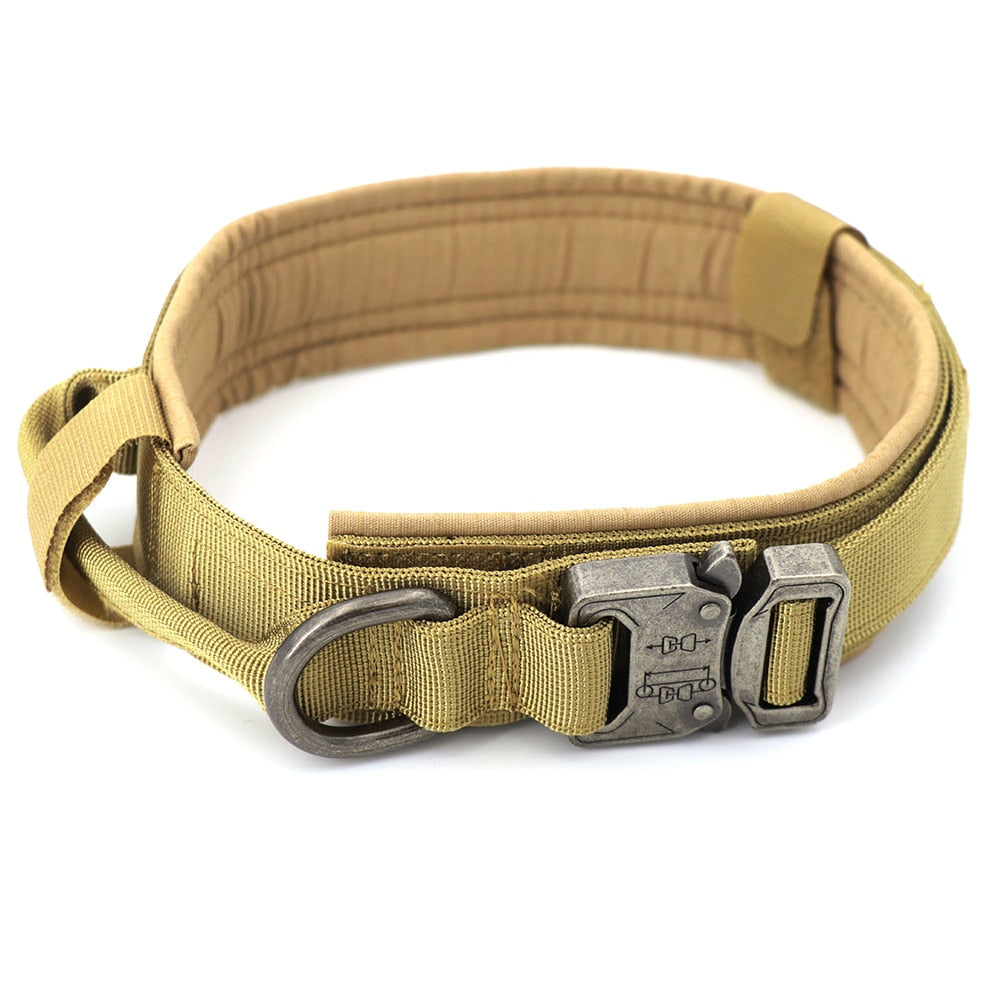 Dog Collar GliaGrove
