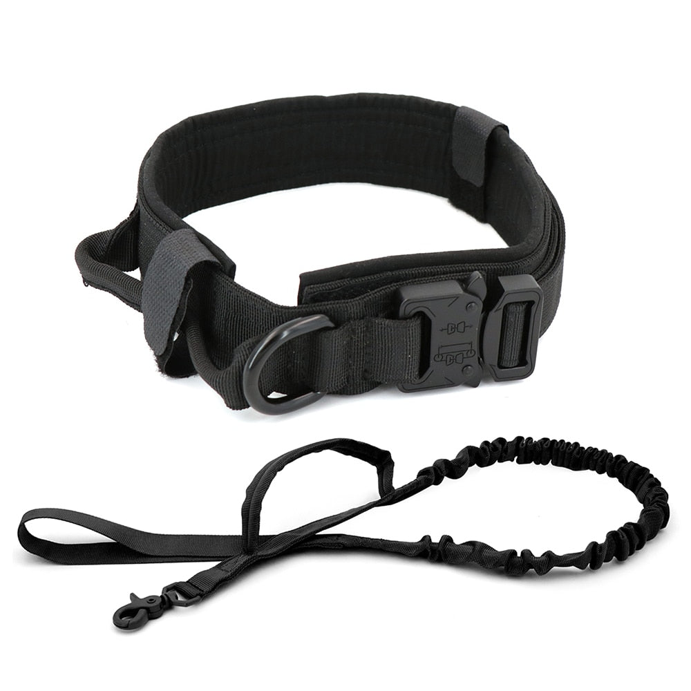 Dog Collar GliaGrove