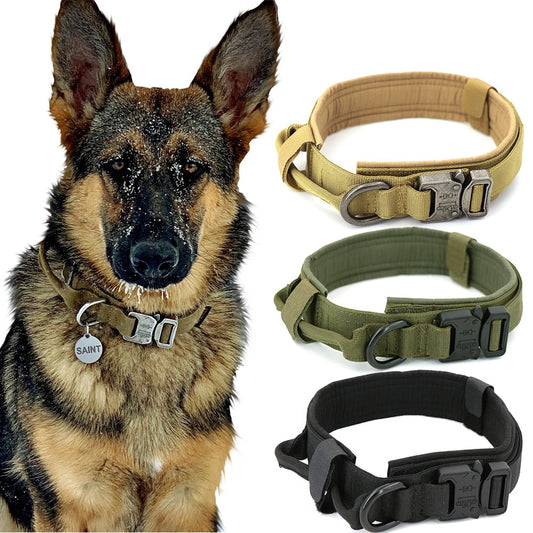 Dog Collar GliaGrove