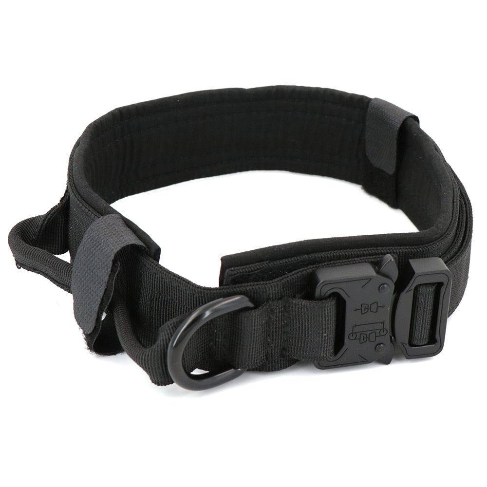 Dog Collar GliaGrove