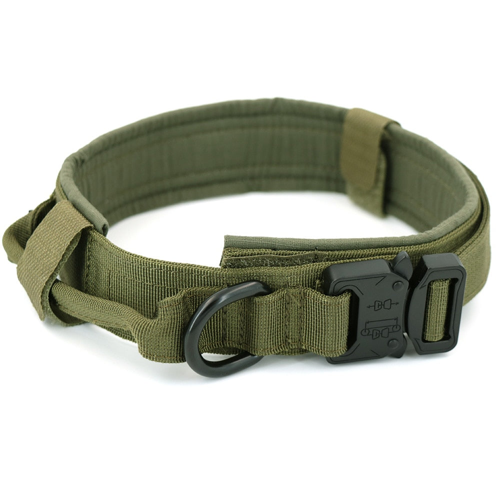 Dog Collar GliaGrove