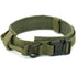 Dog Collar GliaGrove