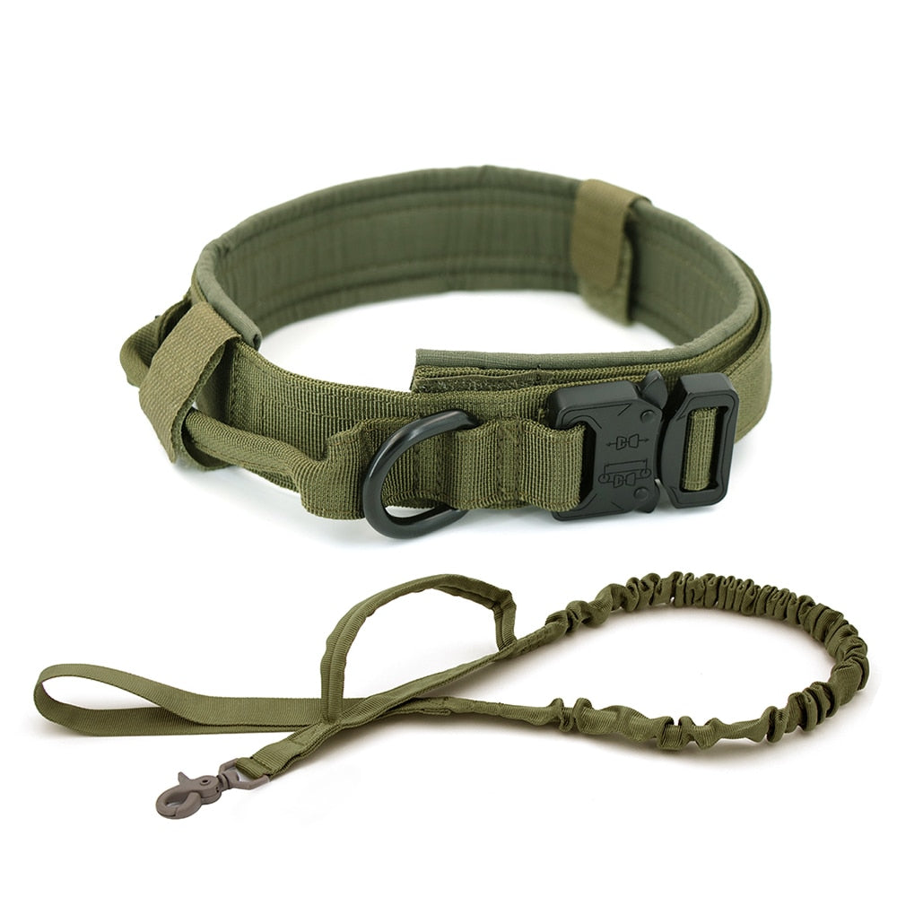 Dog Collar GliaGrove