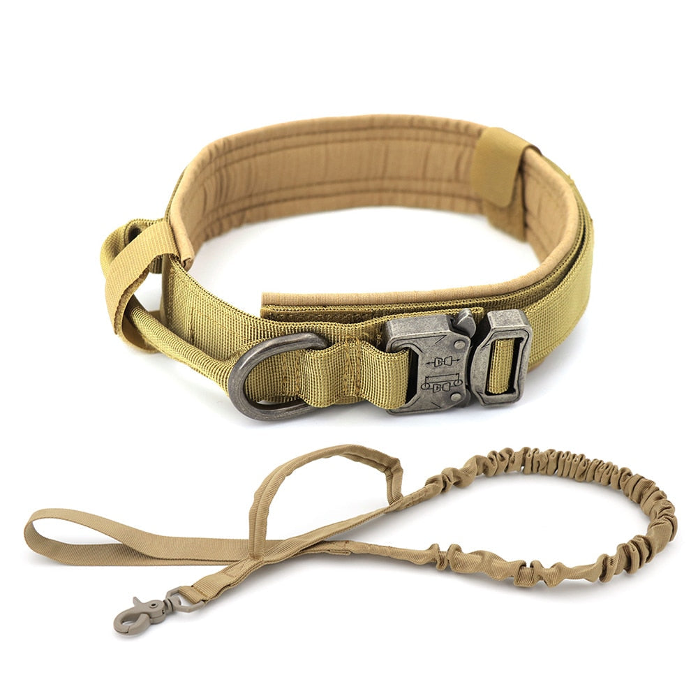Dog Collar GliaGrove