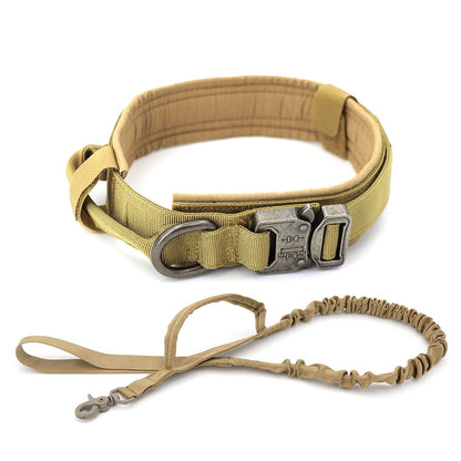 Dog Collar GliaGrove