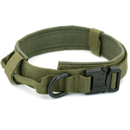 Dog Collar GliaGrove