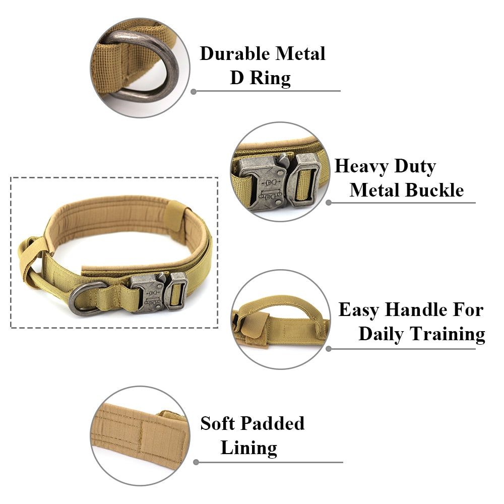 Dog Collar GliaGrove