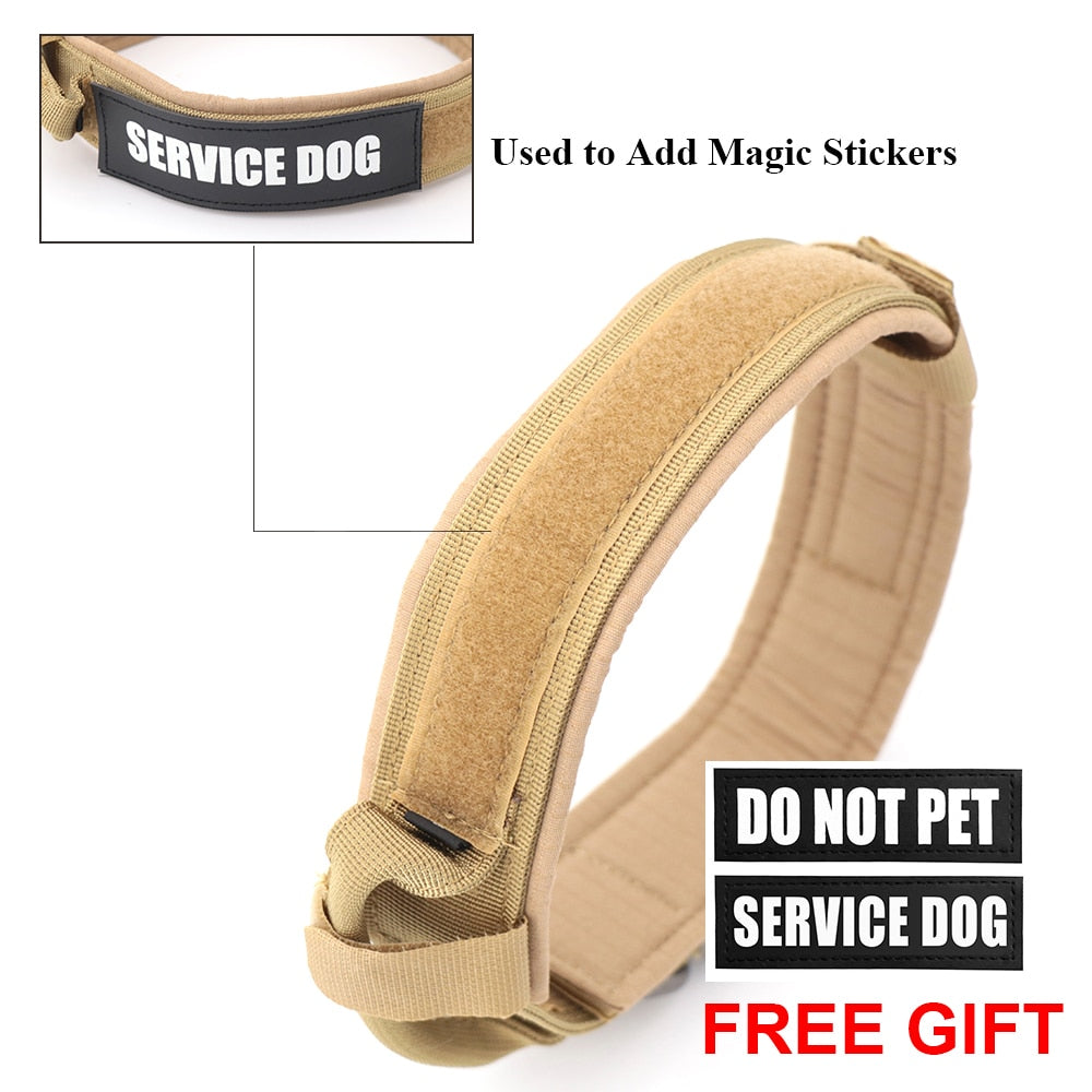 Dog Collar GliaGrove