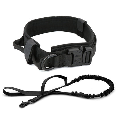 Dog Collar GliaGrove